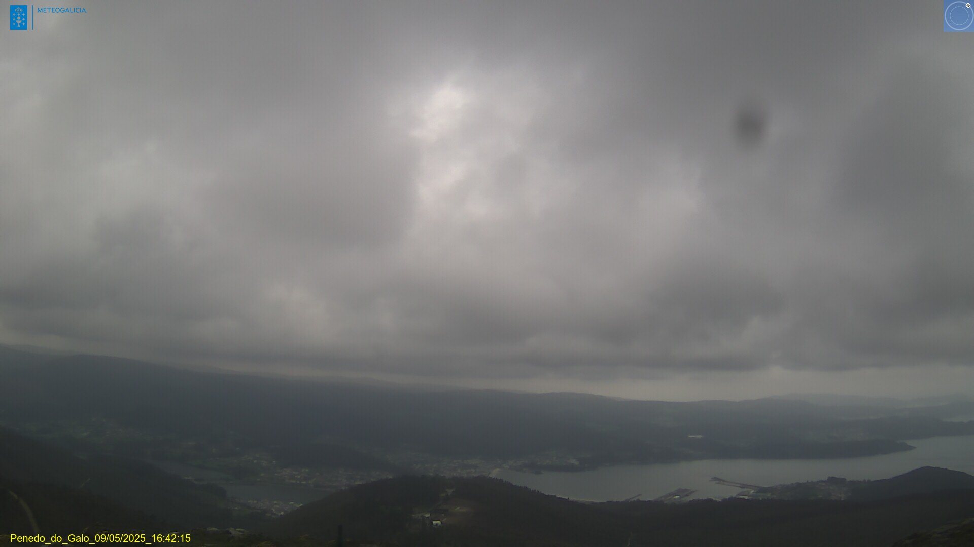 Webcam Viveiro