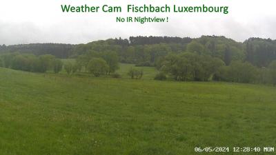 Webcam Fischbach