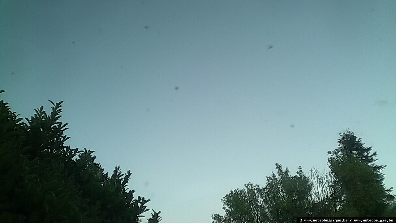 05-06-2026 21:40
