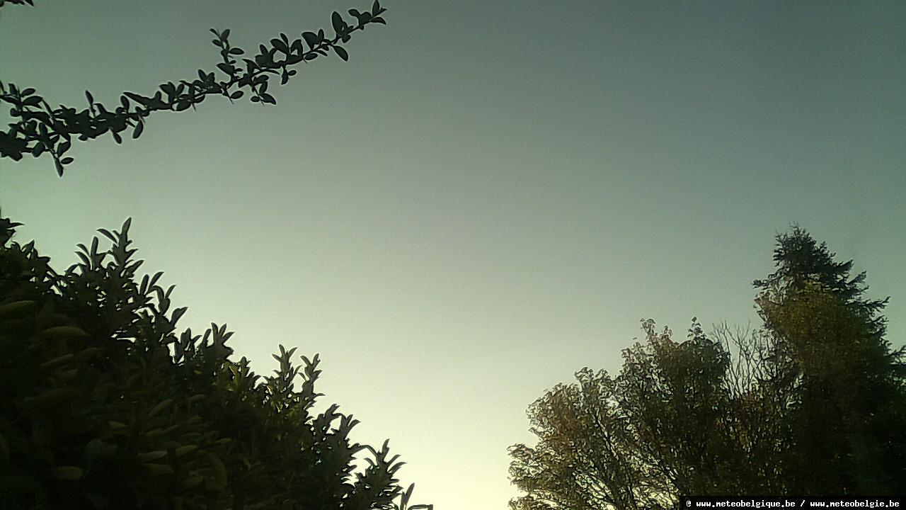 07-08-2026 06:50