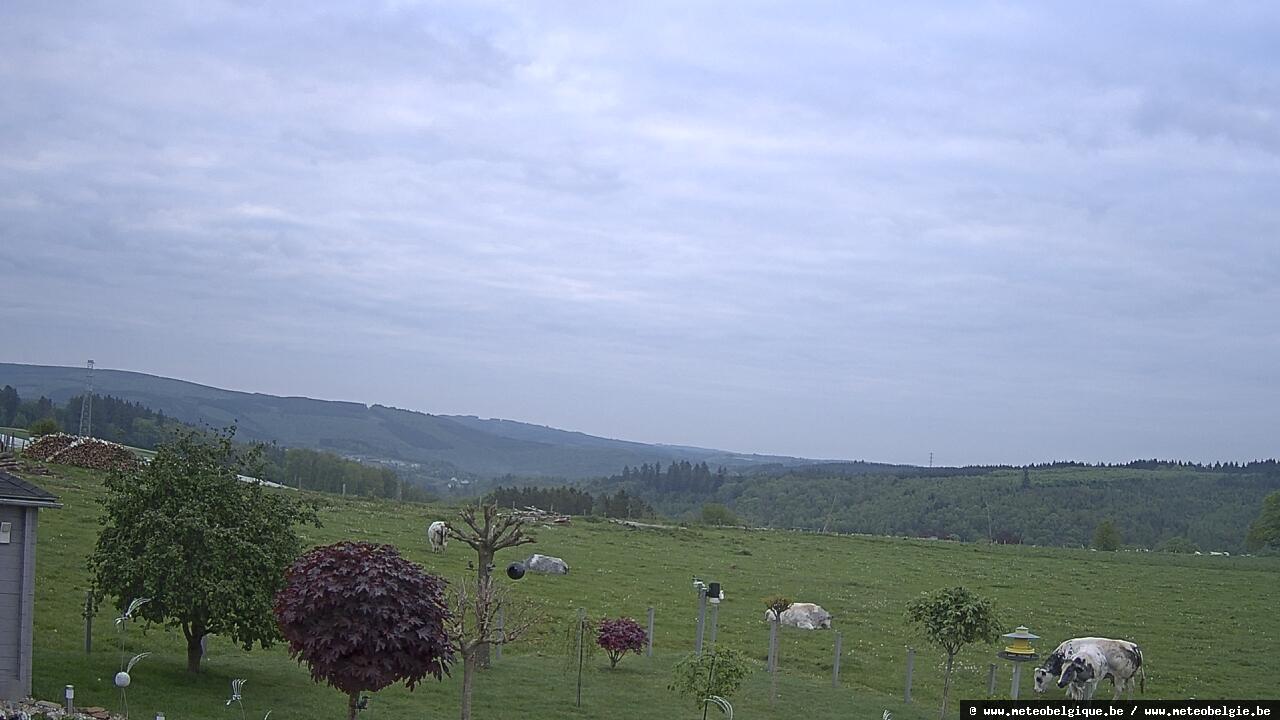 08-05-2026 06:50