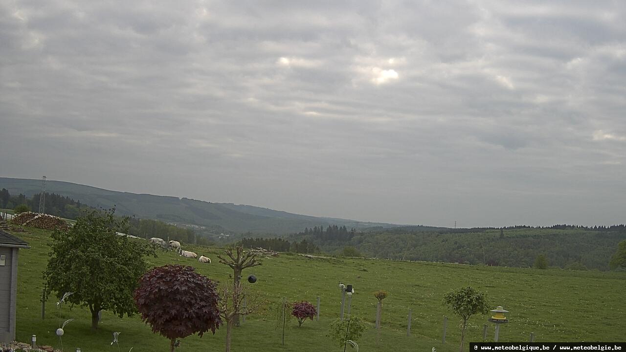 08-05-2026 07:50