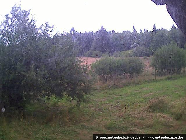 08-07-2025  09:00