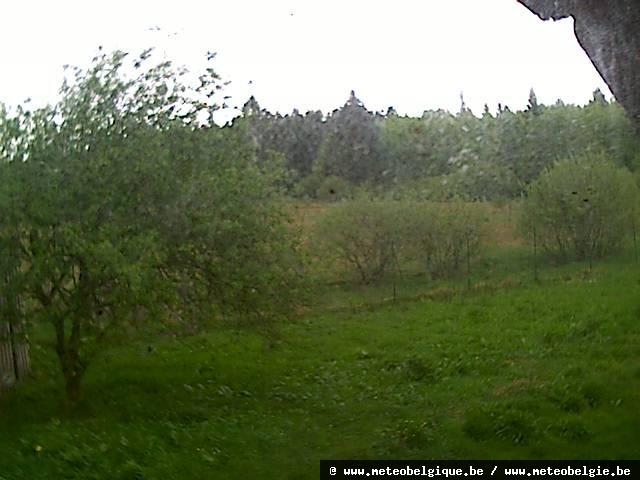 03-05-2026 17:40