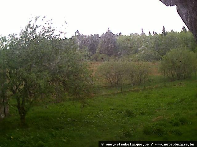 03-05-2026 17:50