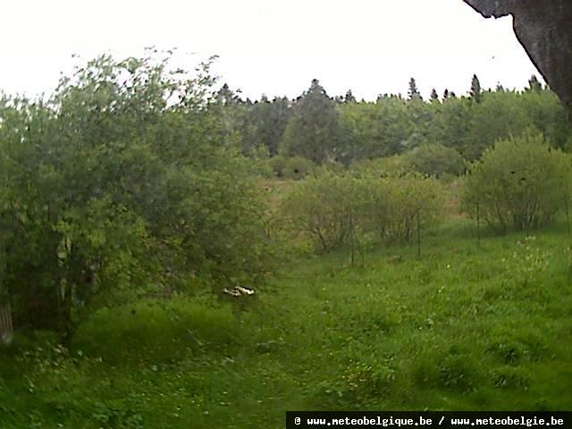 19-05-2026 08:40