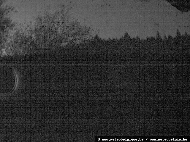 05-10-2026 19:50