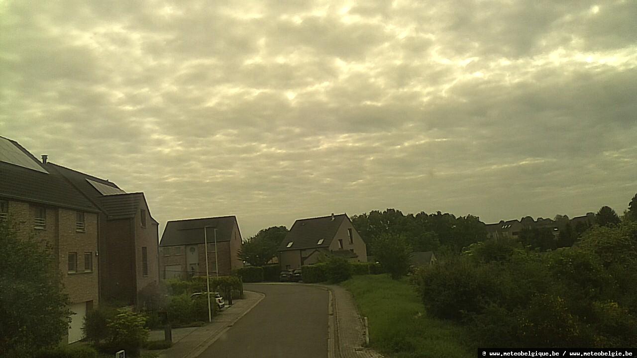 08-05-2026 09:50