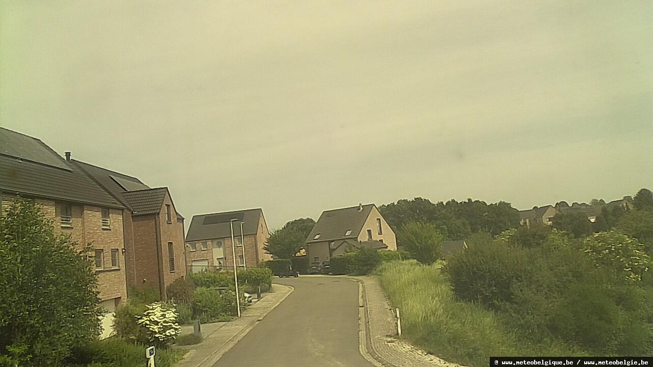 29-05-2026 14:50