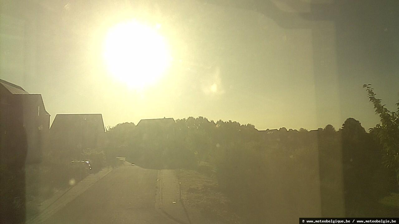 29-07-2026 07:50