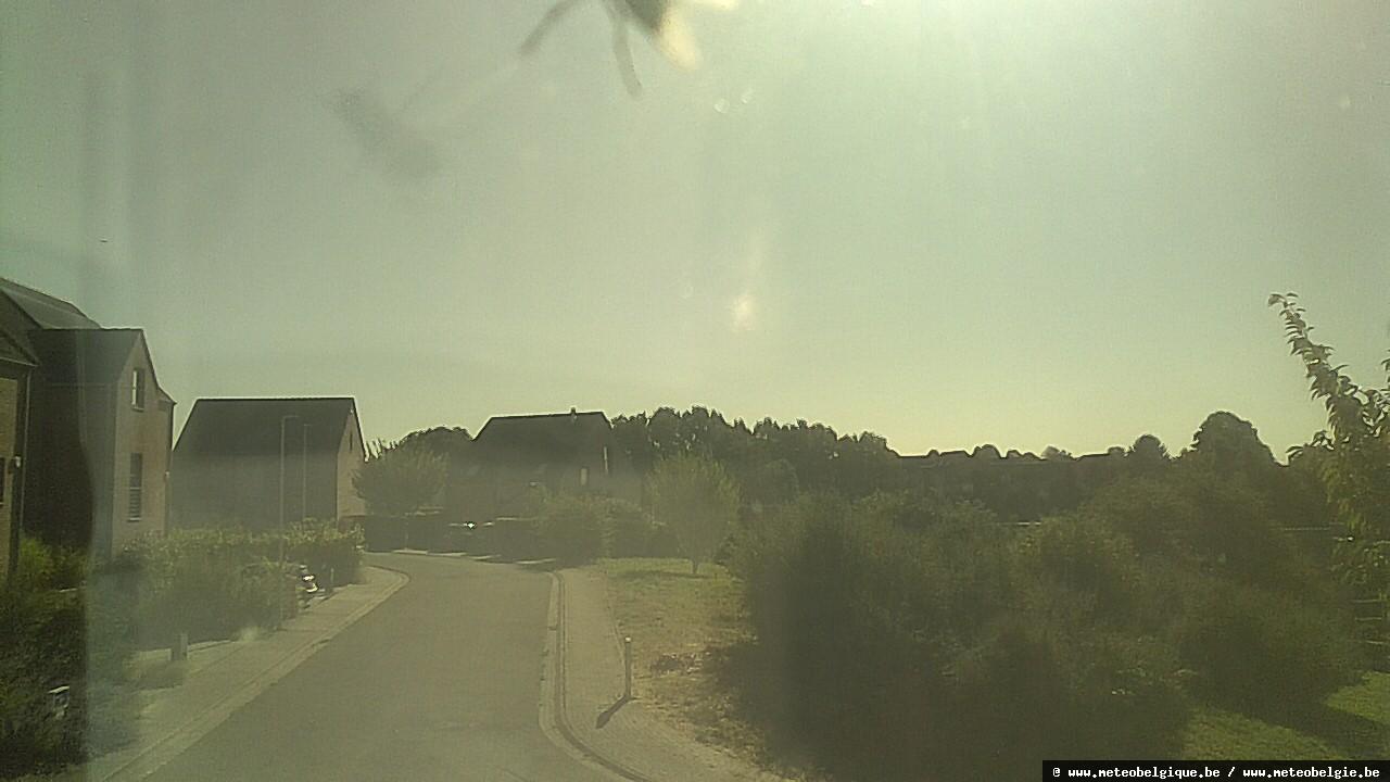 29-07-2026 09:50