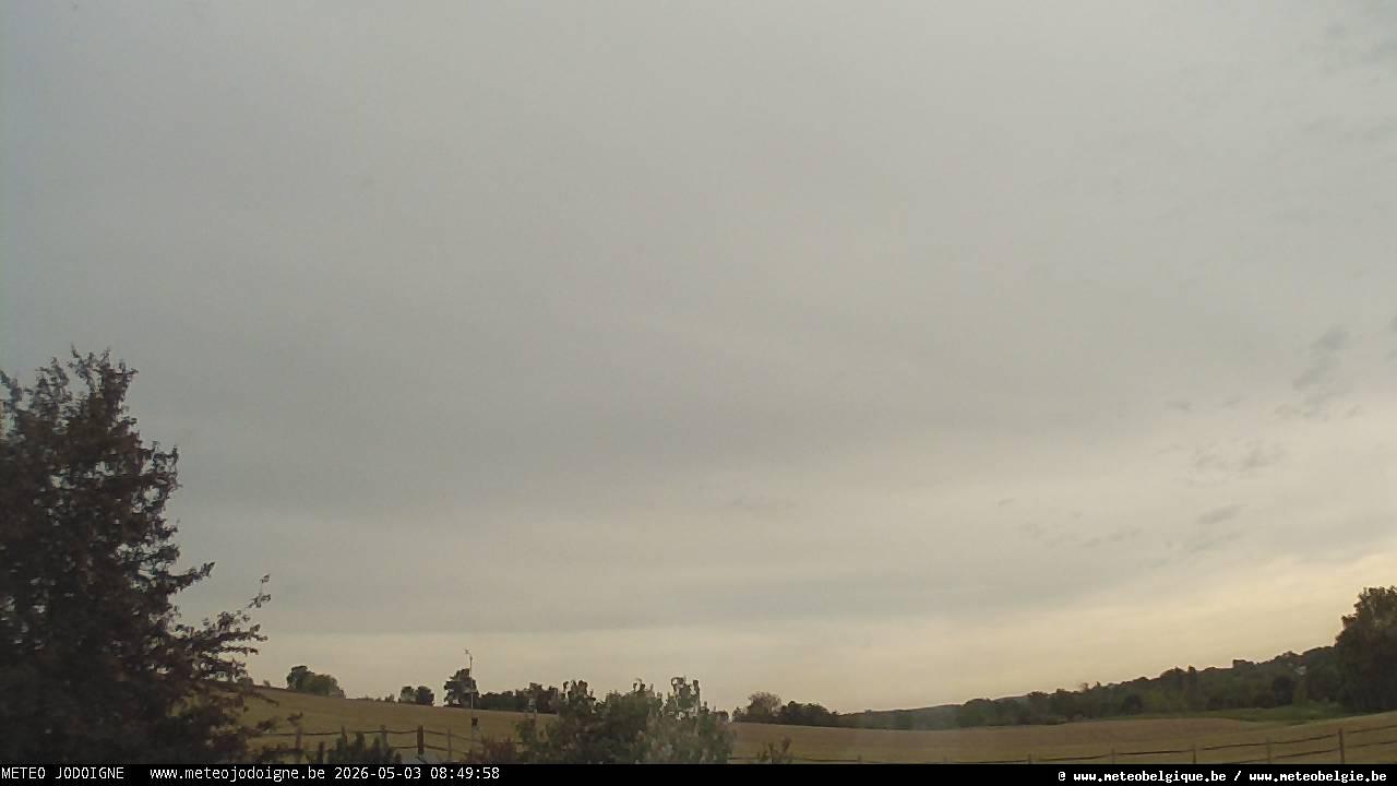 03-05-2026 08:50