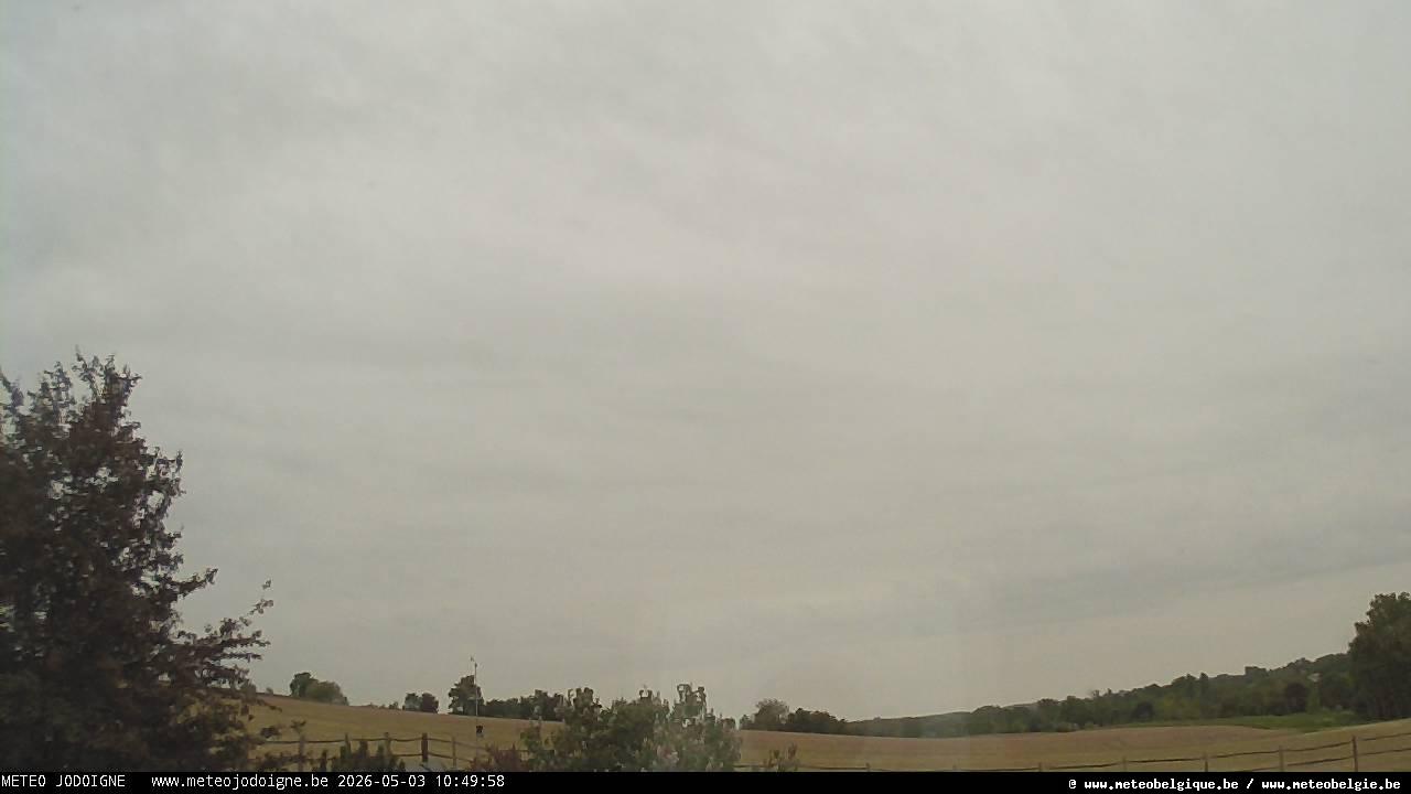 03-05-2026 10:50