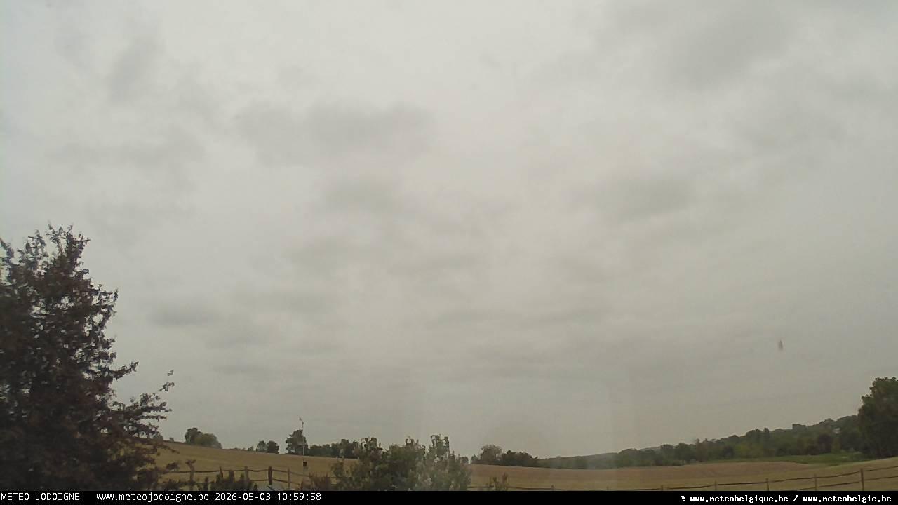 03-05-2026 11:00