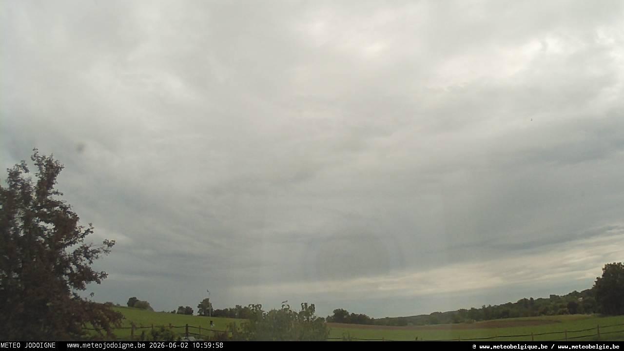 02-06-2026 11:00