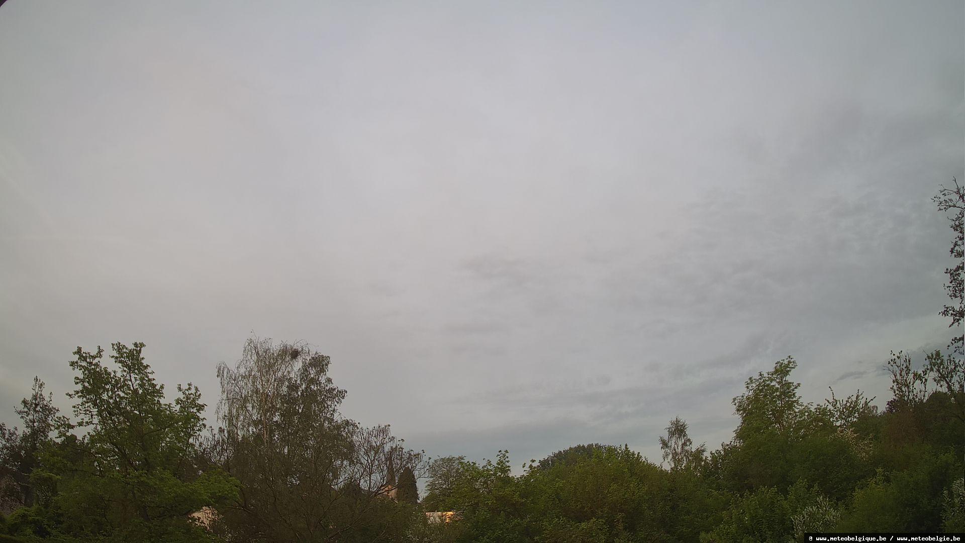 03-05-2026 06:50