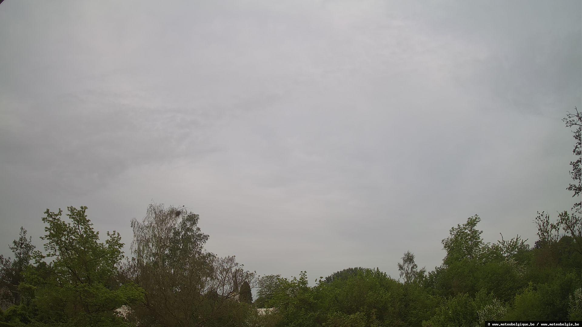 03-05-2026 07:50