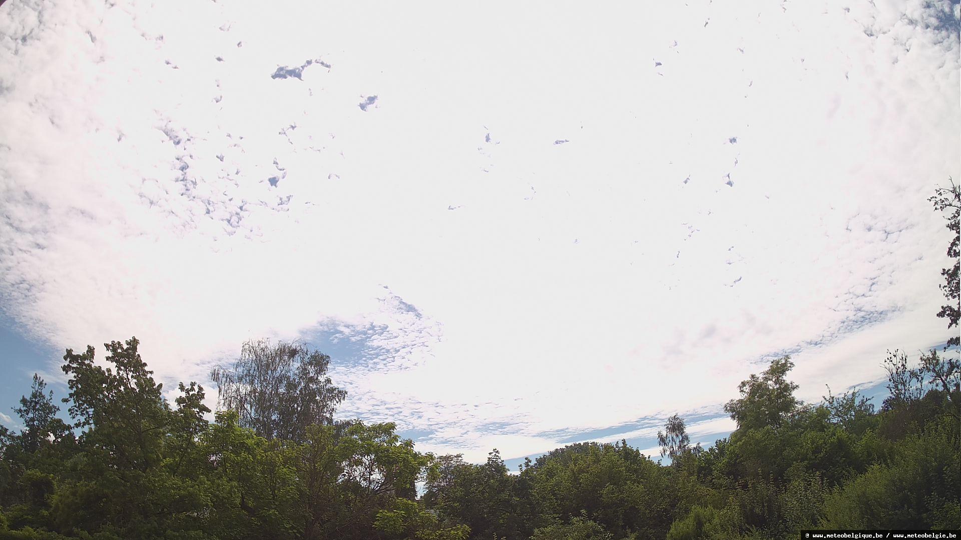 17-06-2026 15:50