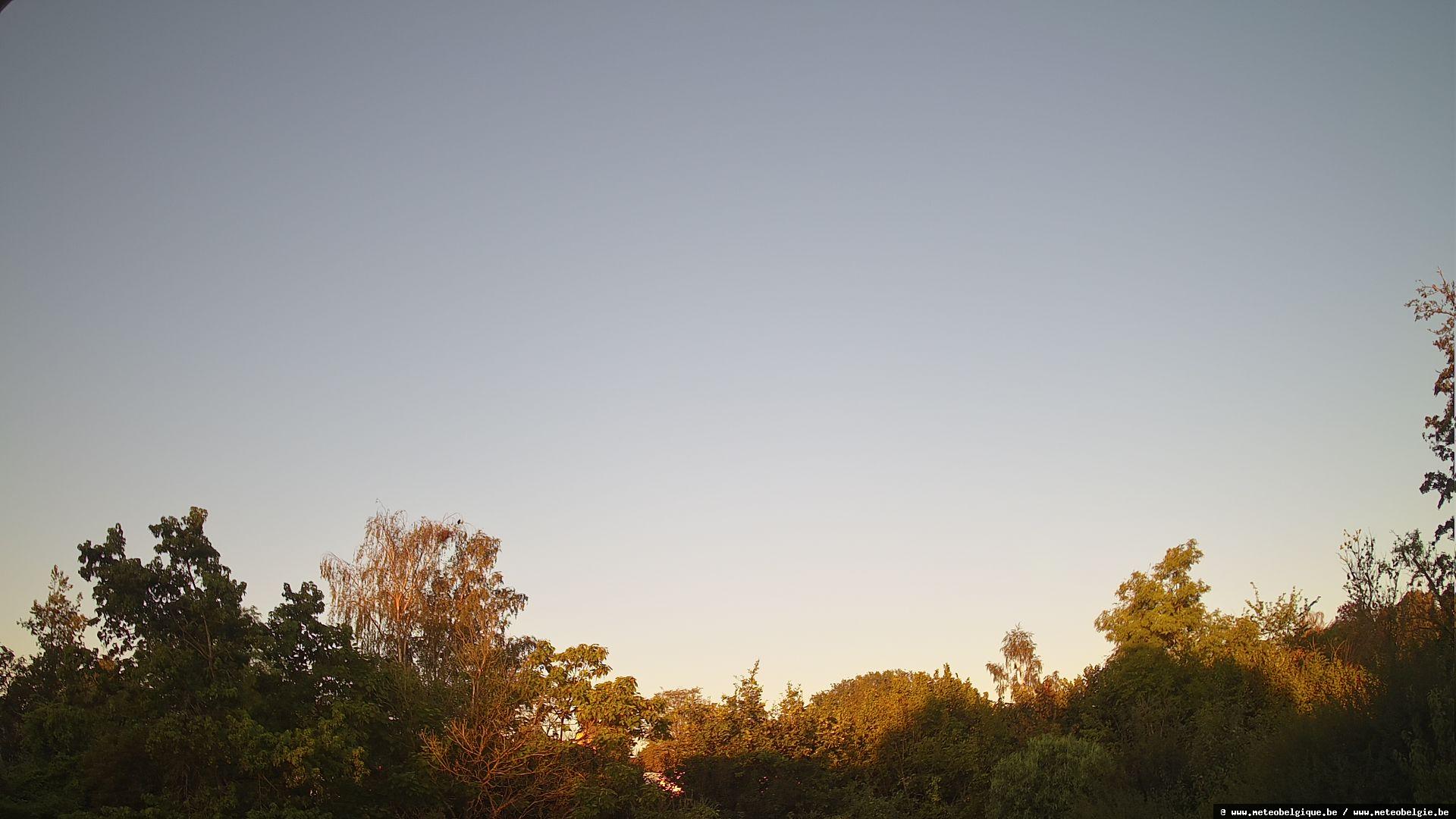 07-08-2026 06:50