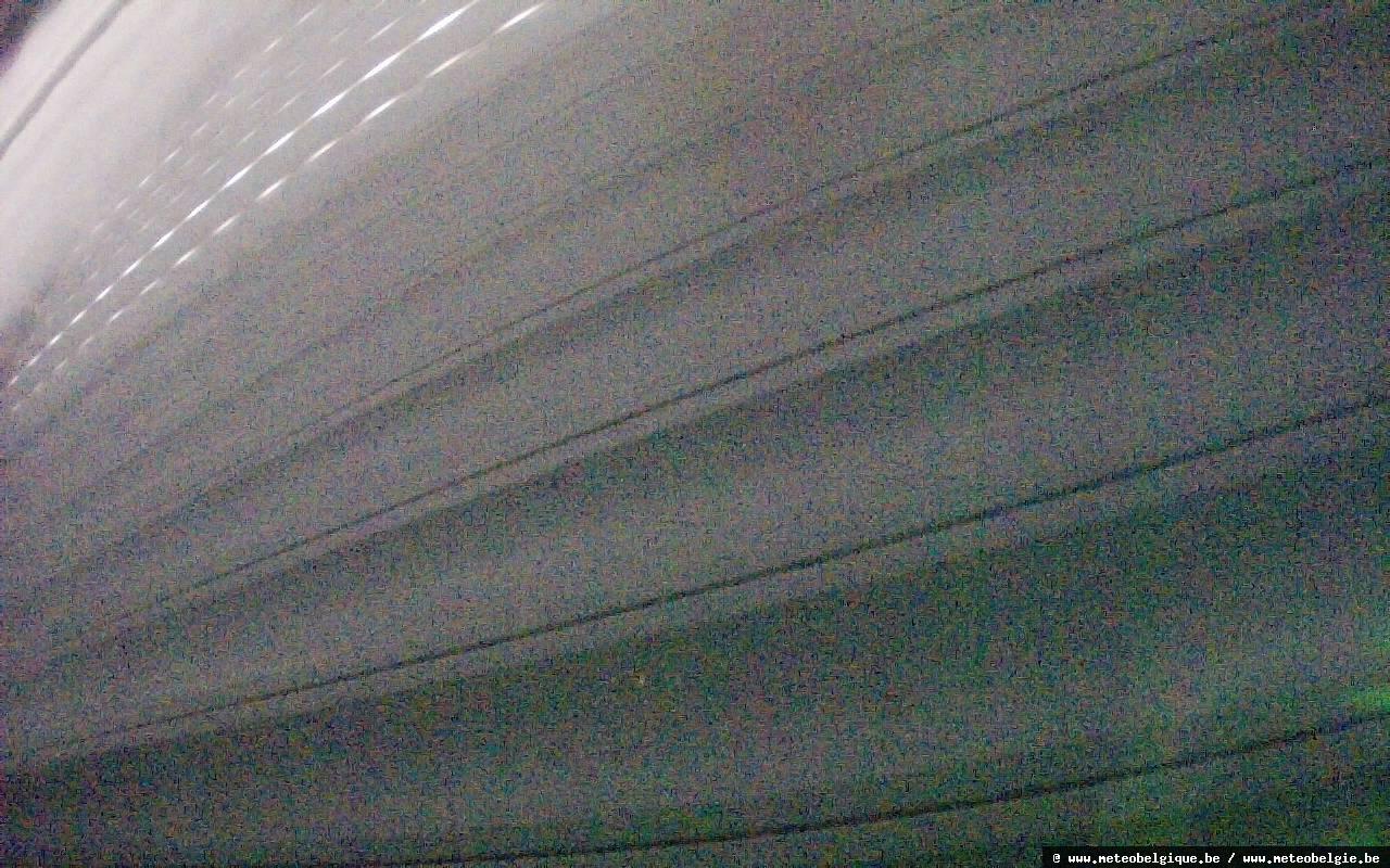 06-06-2026 06:50