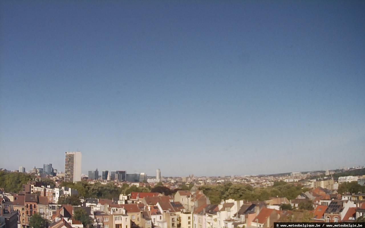 01-08-2026 09:50