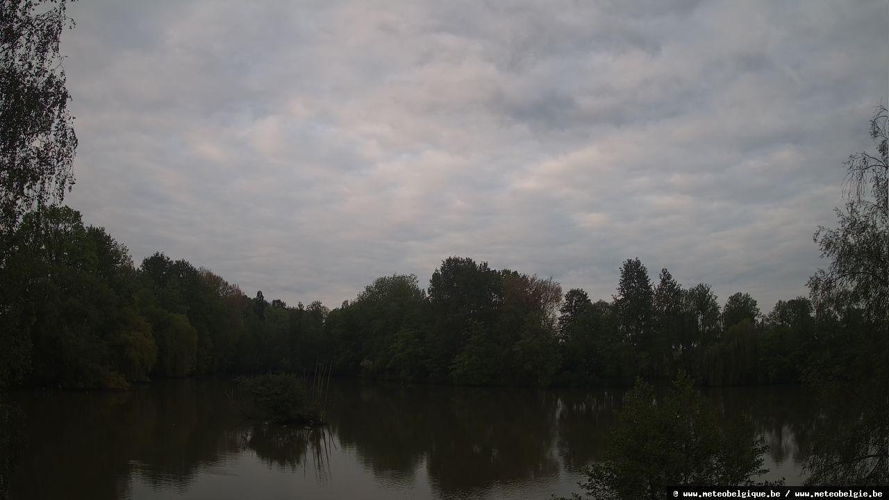 08-05-2026 06:50