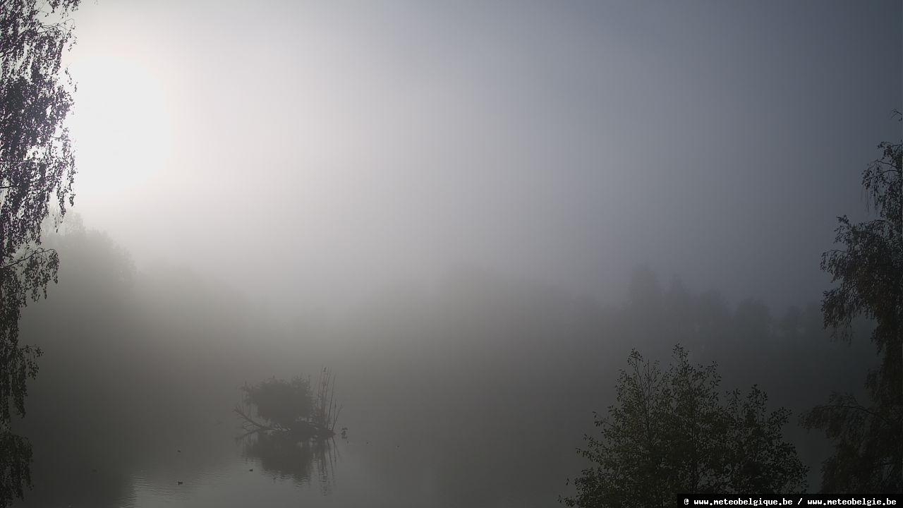 05-10-2026 09:50