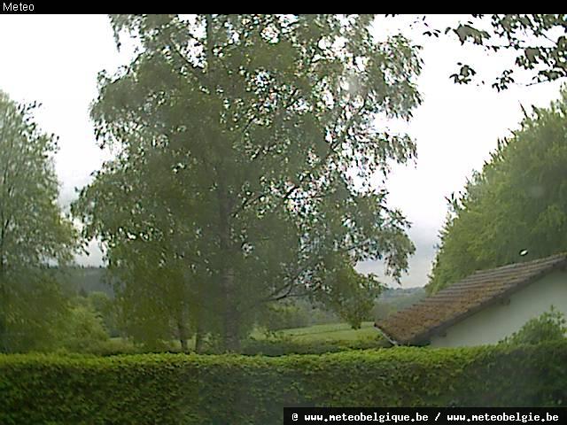11-05-2026 17:50