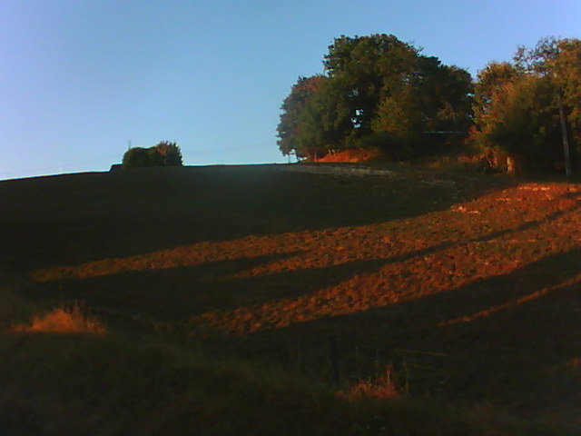 07-08-2026 06:45