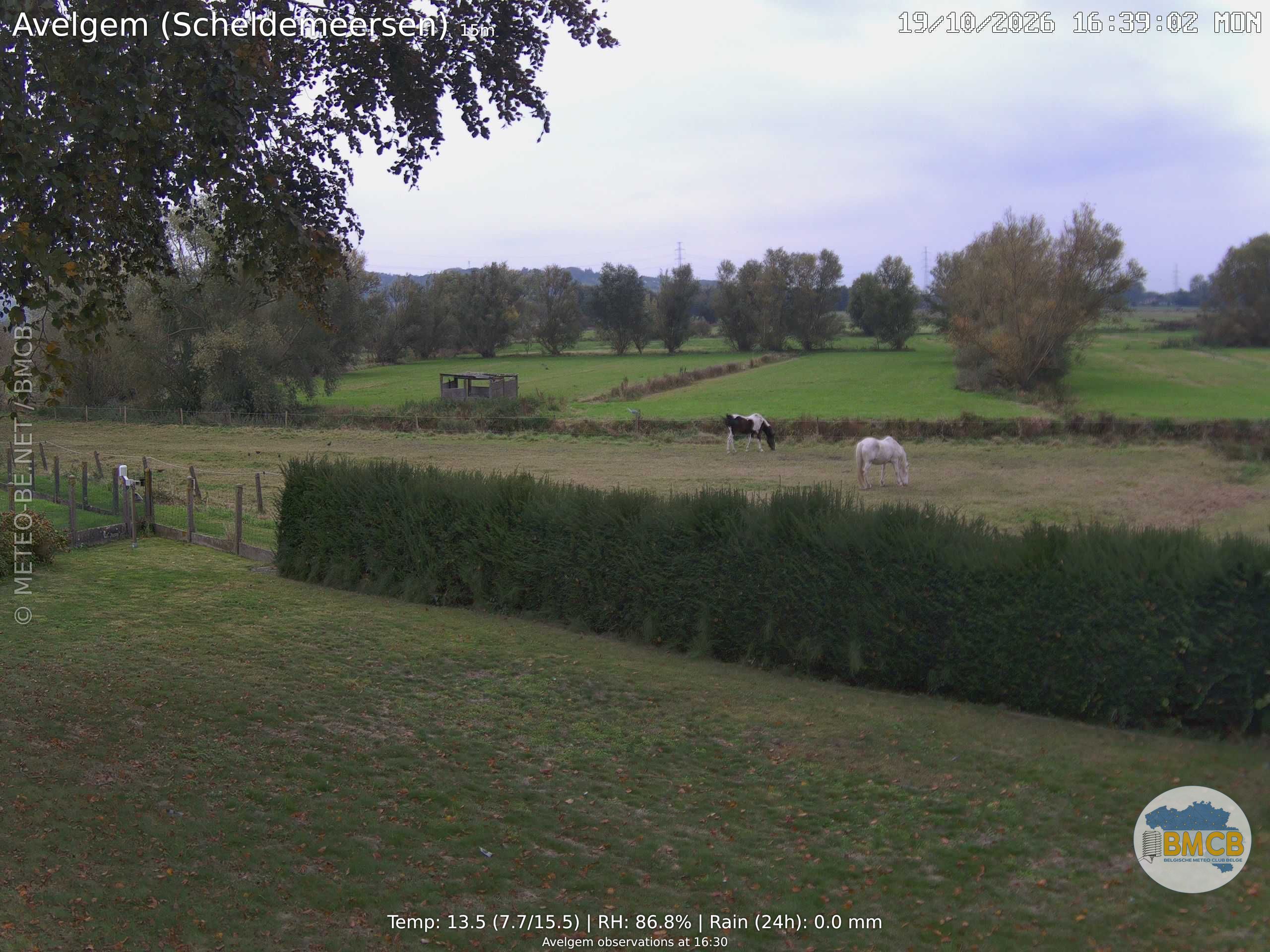 19-10-2026 16:45