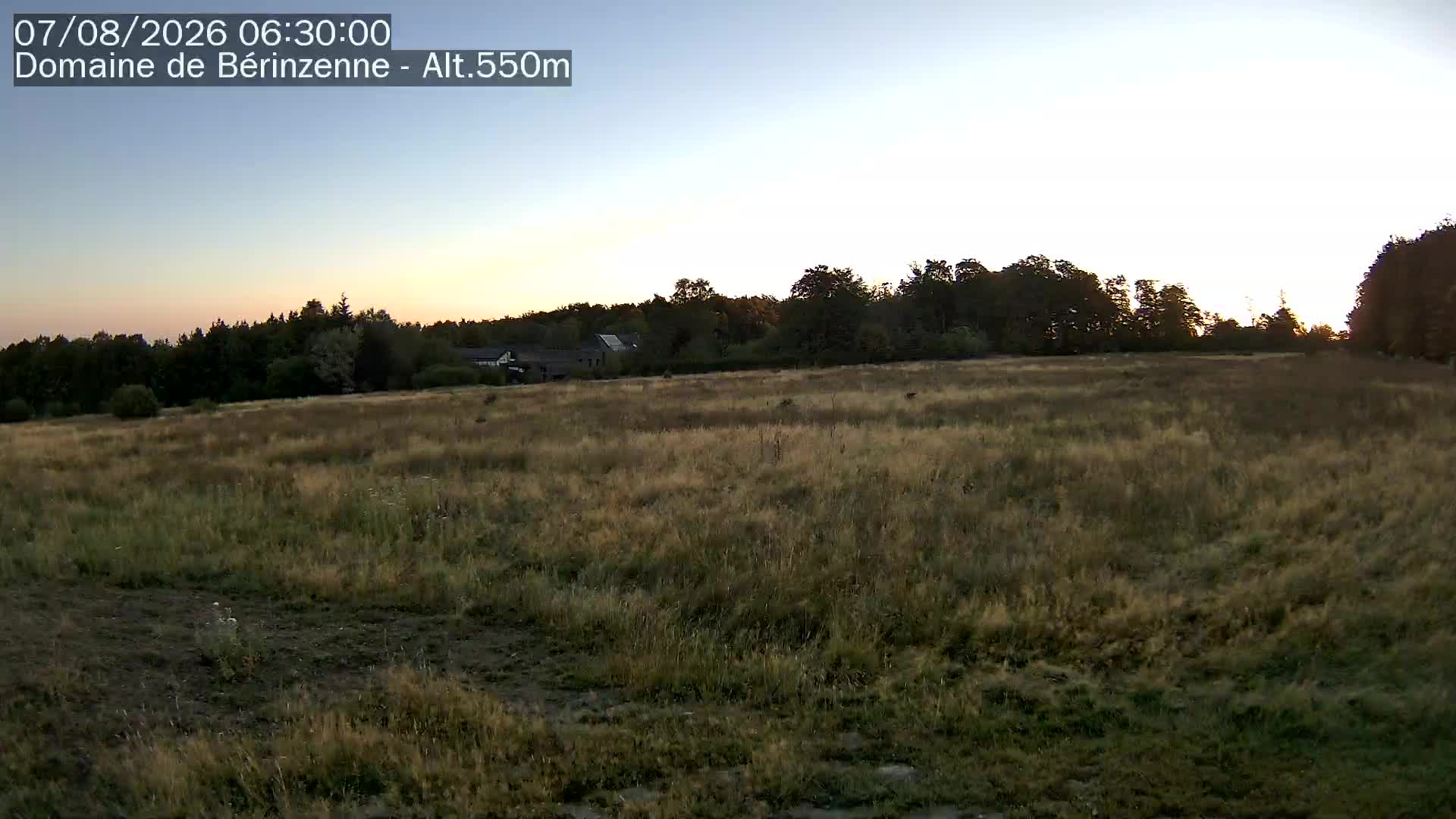 07-08-2026 06:45