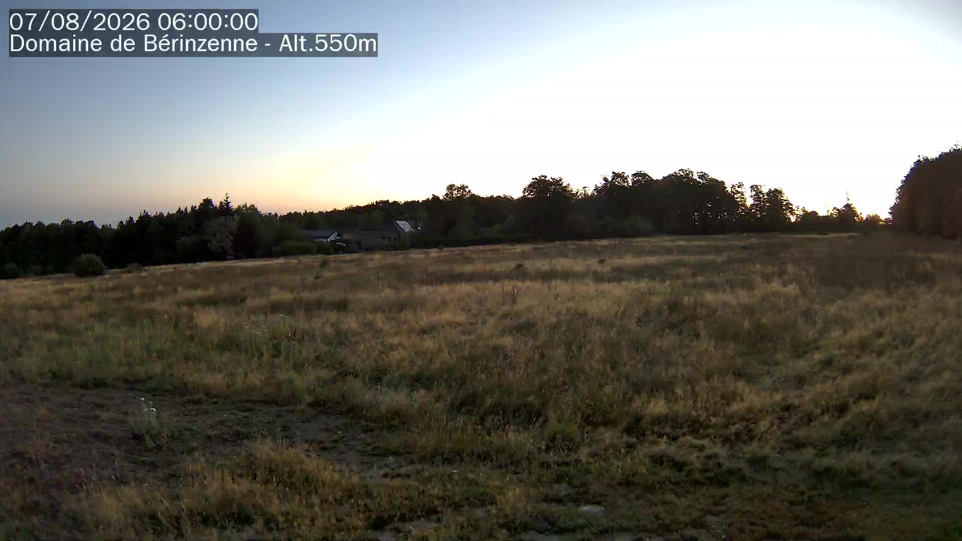 07-08-2026 06:15