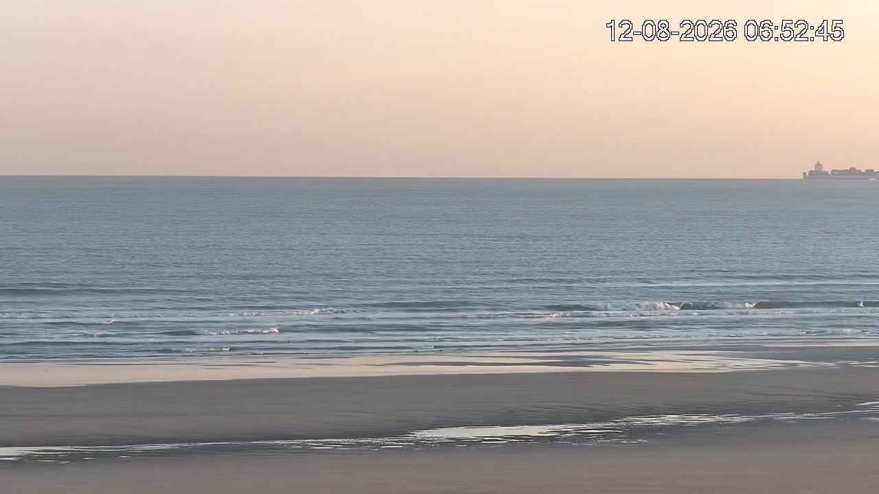 12-08-2026 07:00