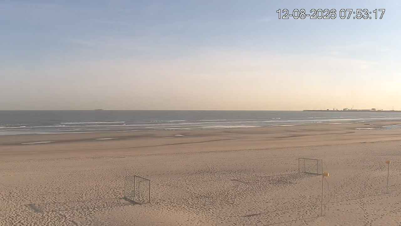 12-08-2026 08:00