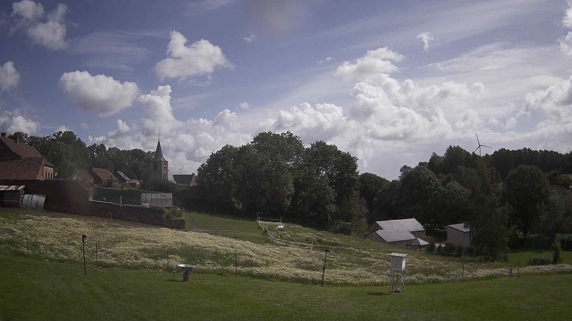 10-06-2026 11:00
