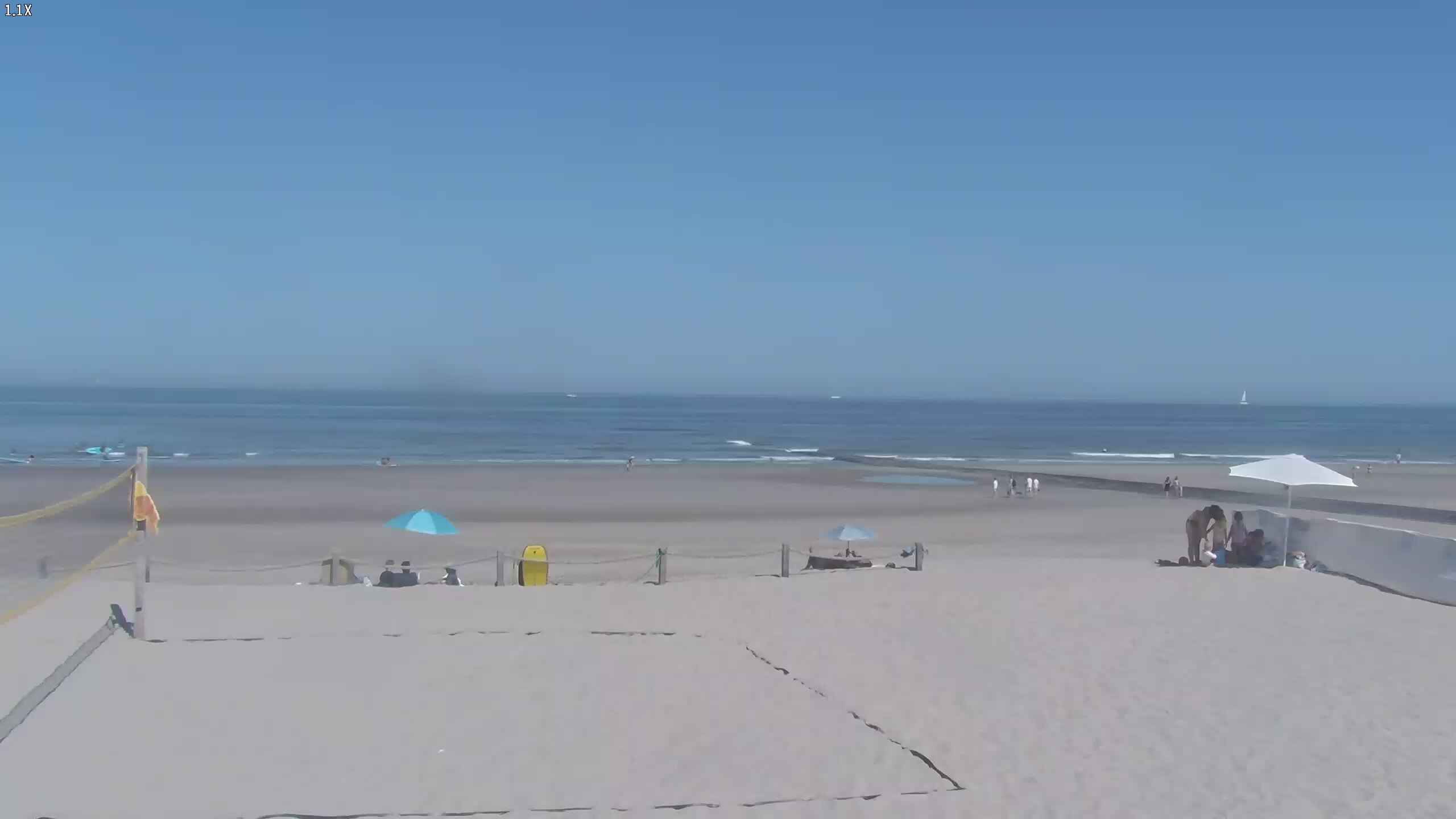 29-07-2026 11:45