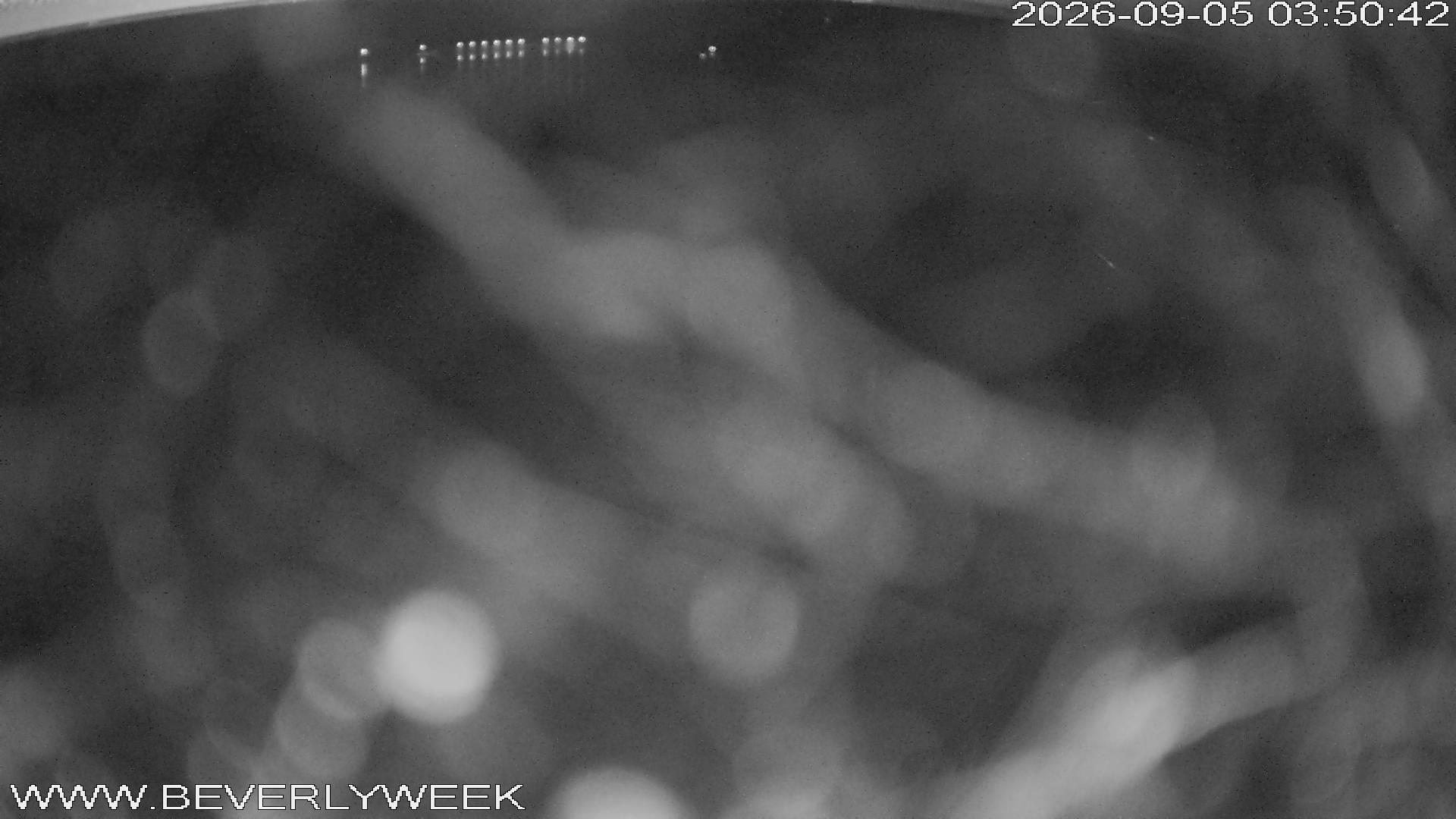 05-09-2026 06:00