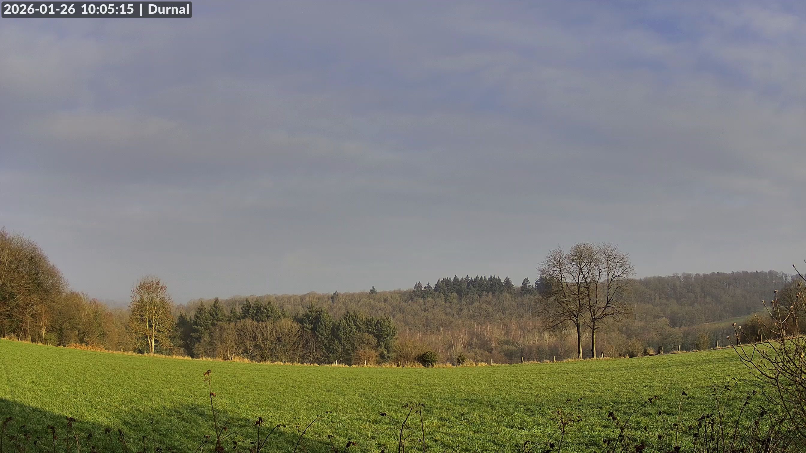 26-01-2026 10:15