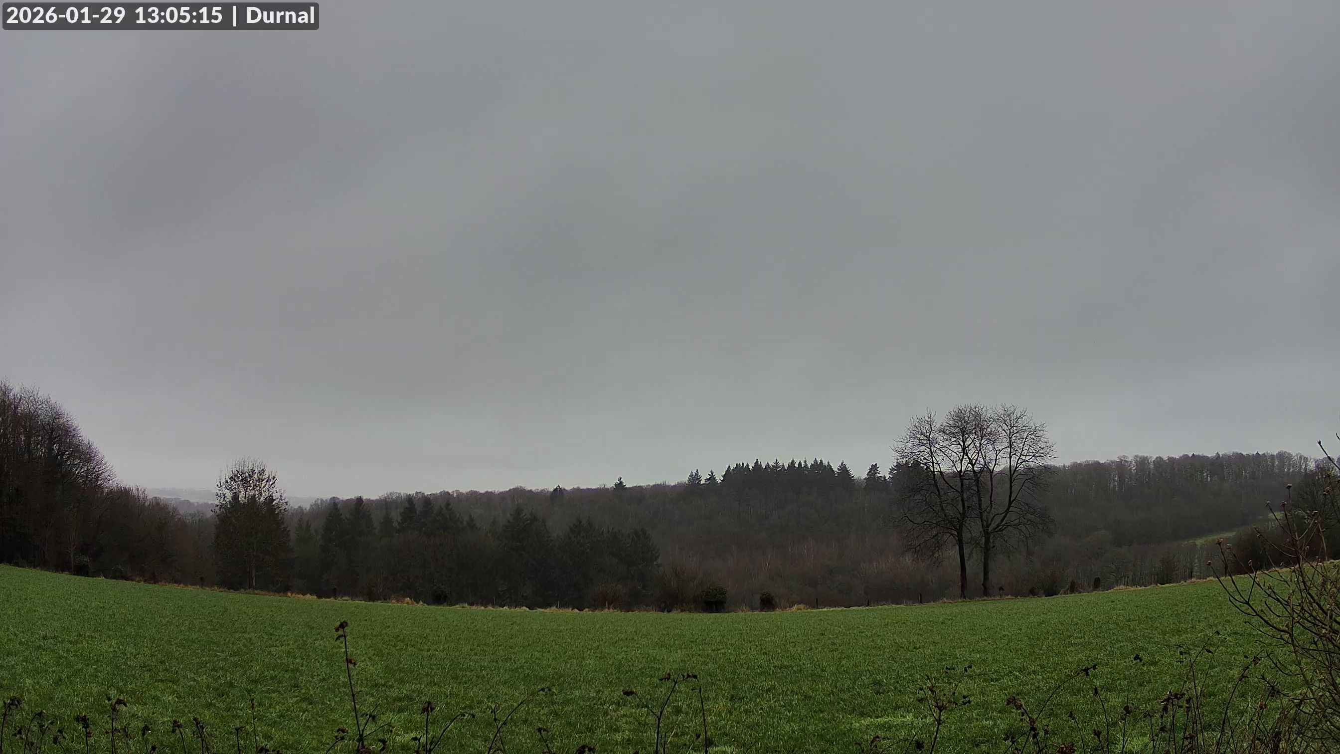 29-01-2026 13:15