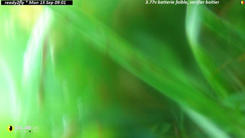 15-09-2025  09:15