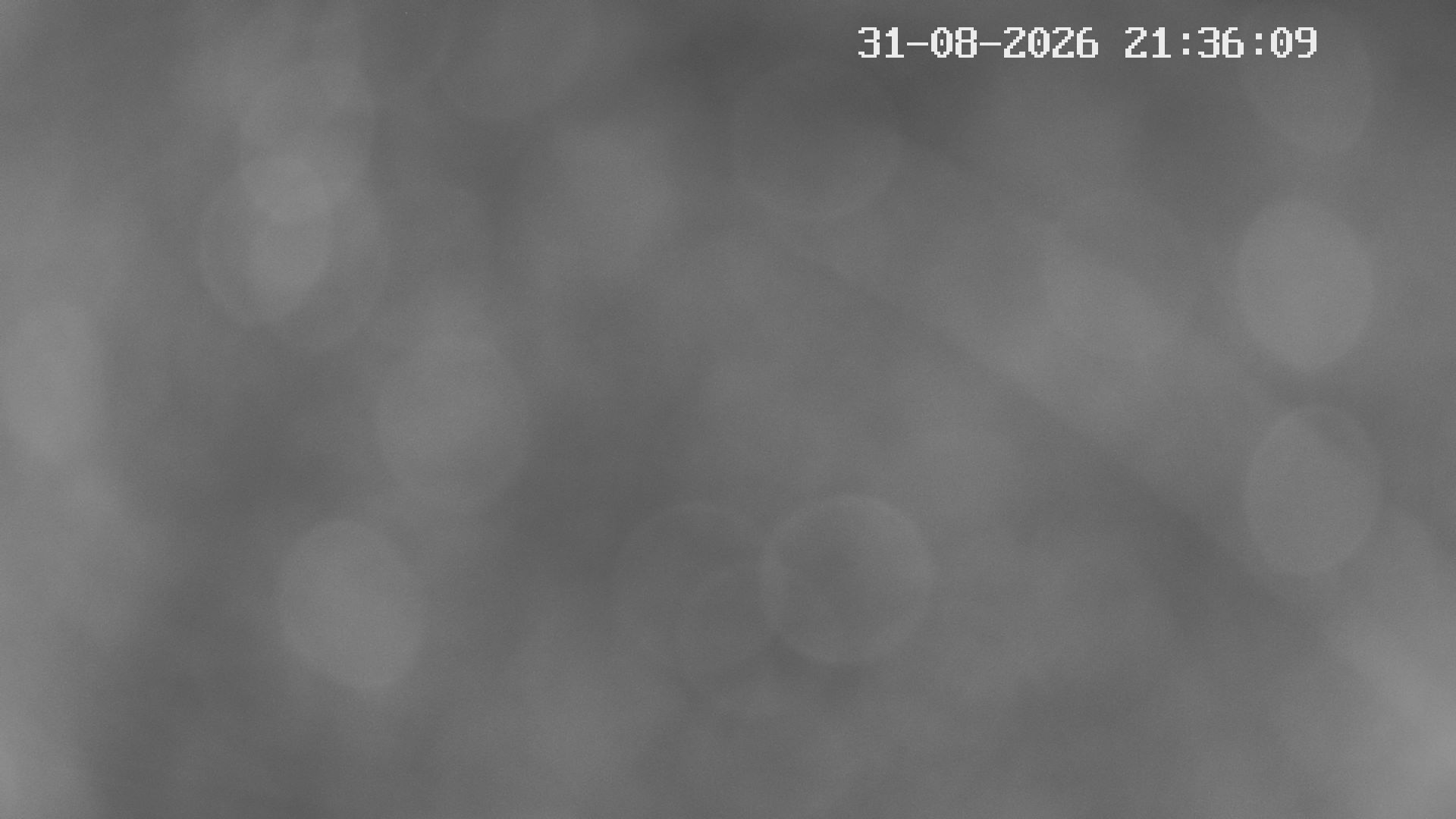 31-08-2026 21:45