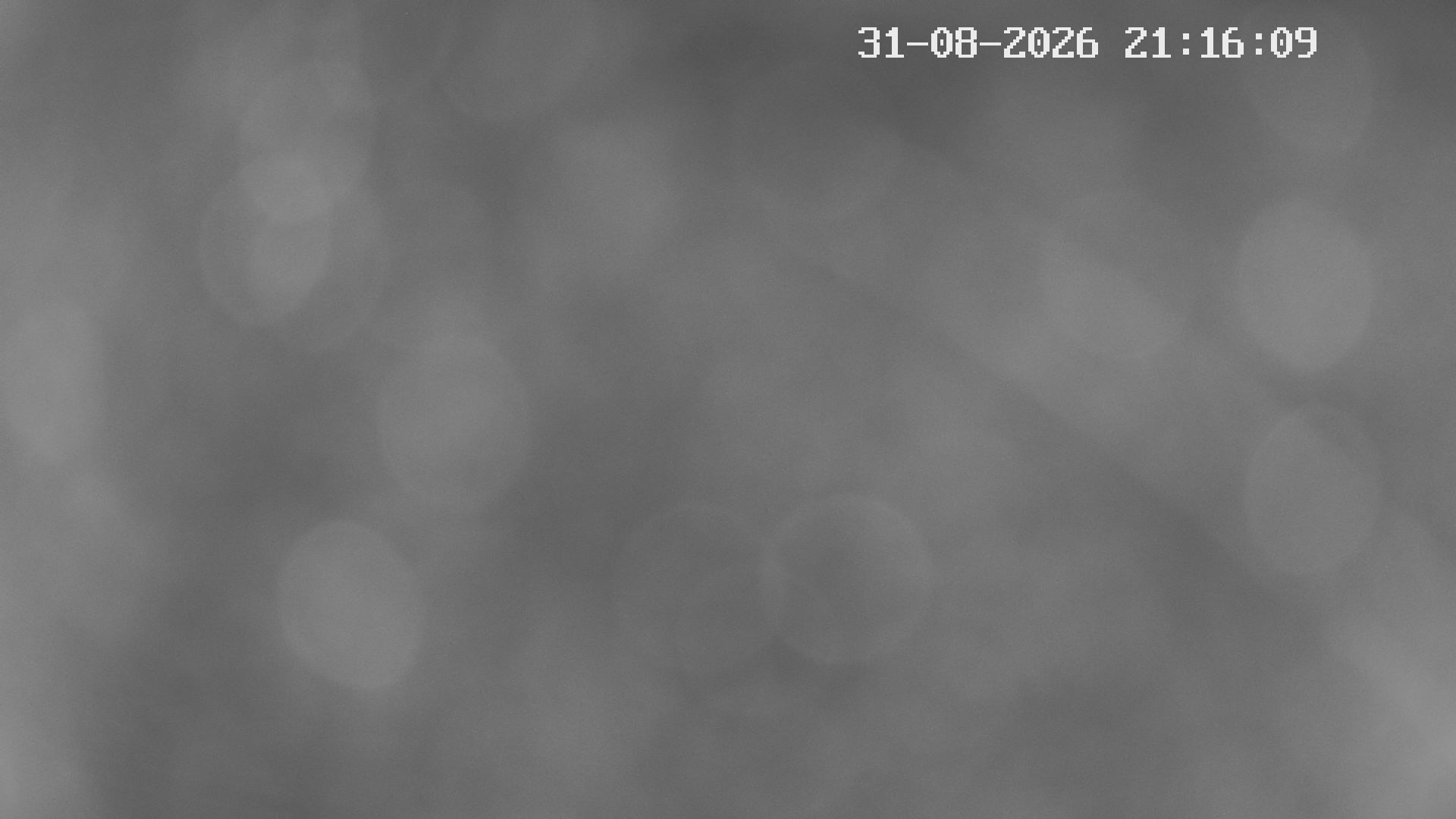 31-08-2026 21:30