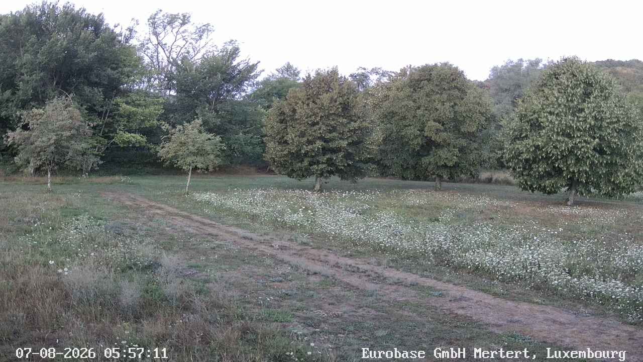07-08-2026 06:15