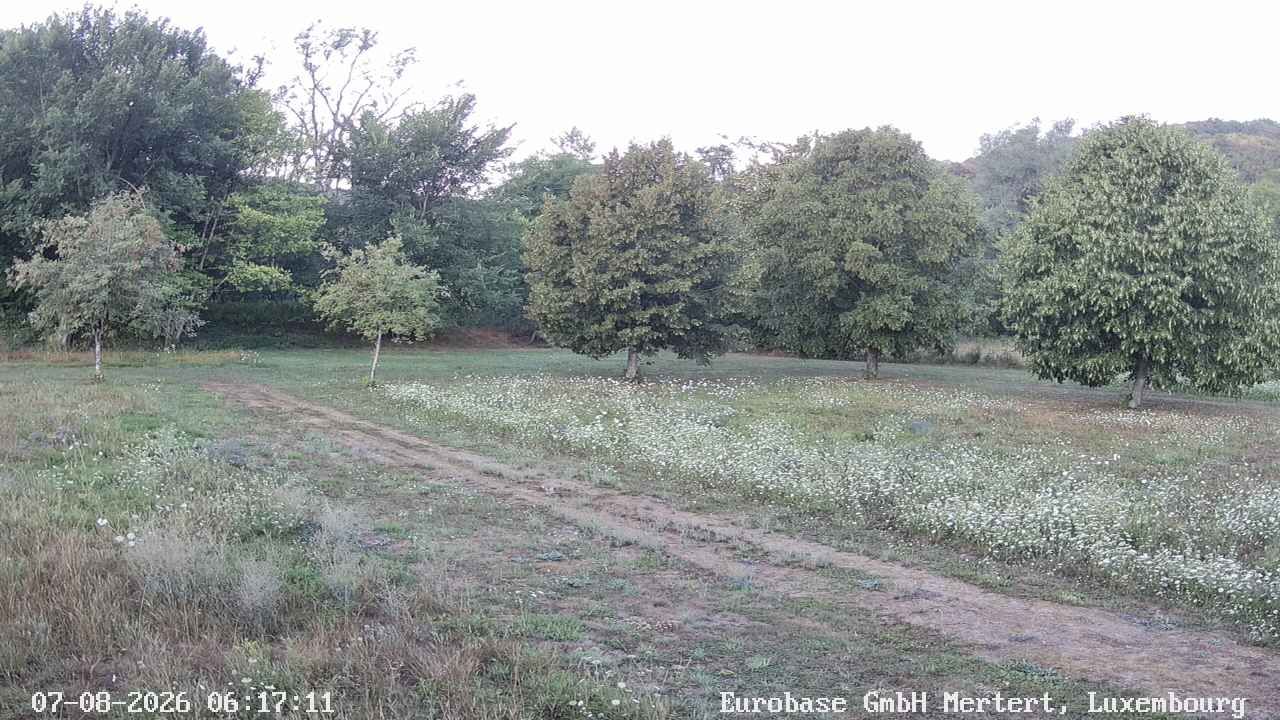 07-08-2026 06:30