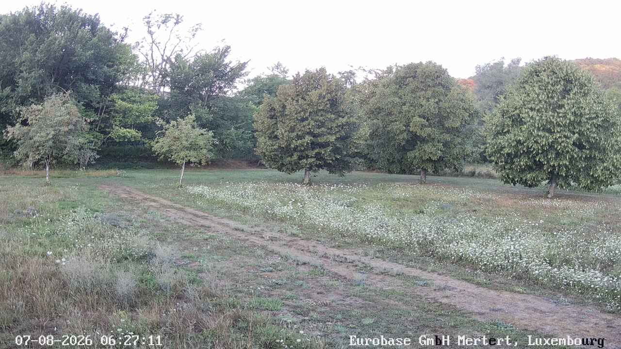 07-08-2026 06:45