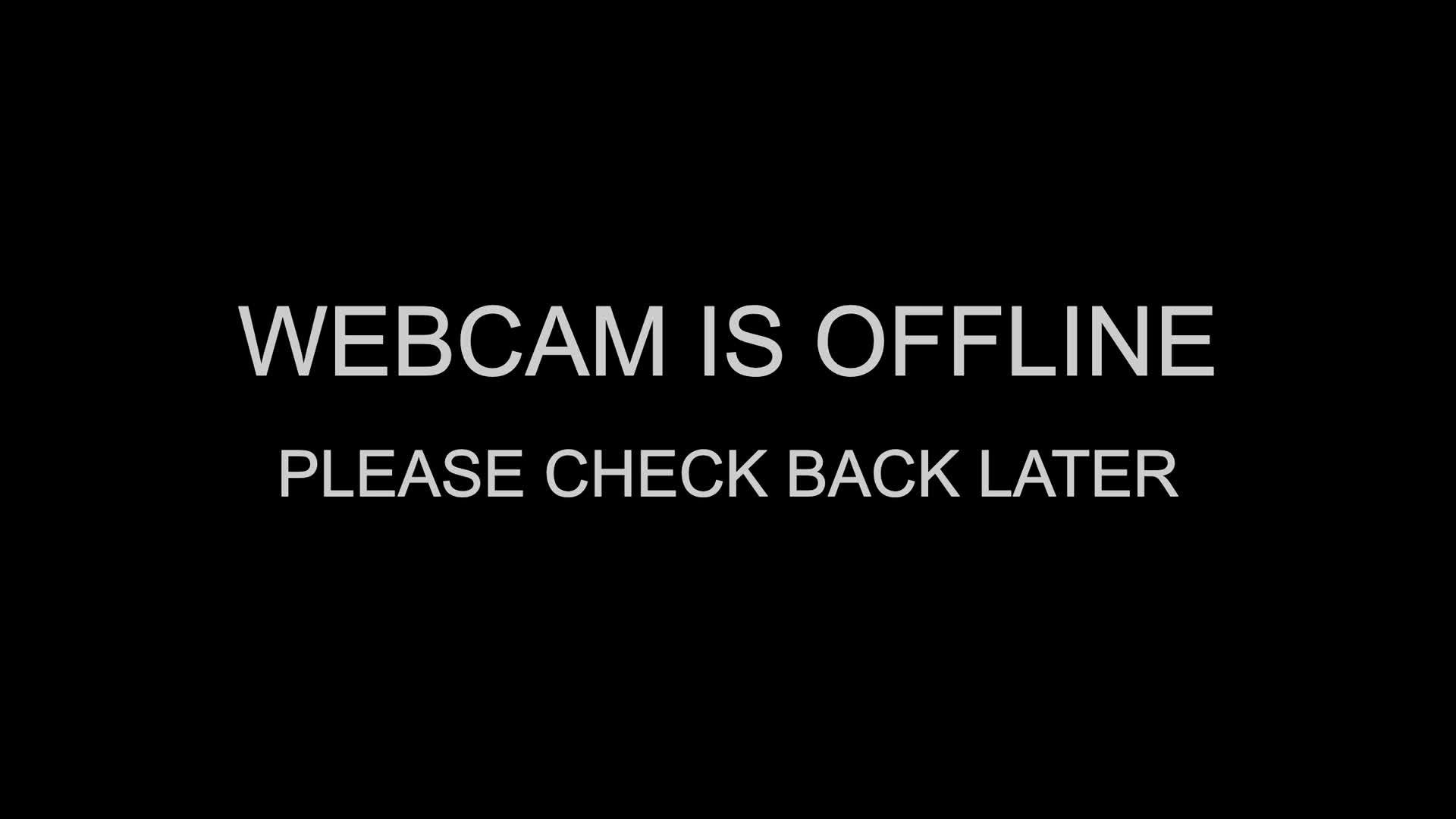 19-05-2026 15:45