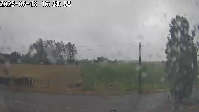 18-08-2026 16:45