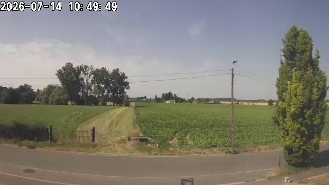 14-07-2026 11:00