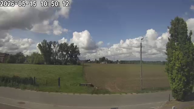 15-05-2026 11:00