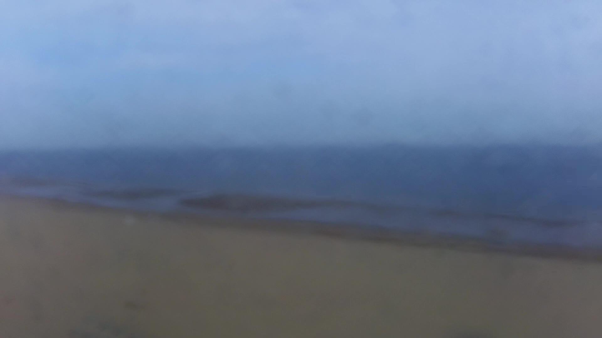 15-08-2026 11:00